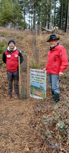 Bild12
