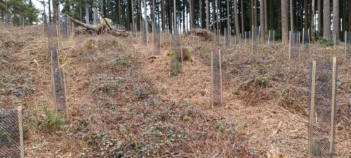 Bild13
