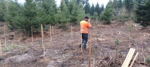 Bild14