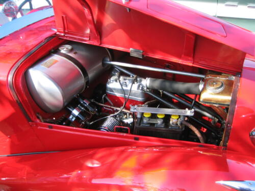 IMG 0007